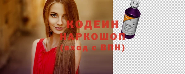 спиды Бородино