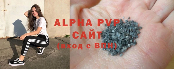 спиды Бородино