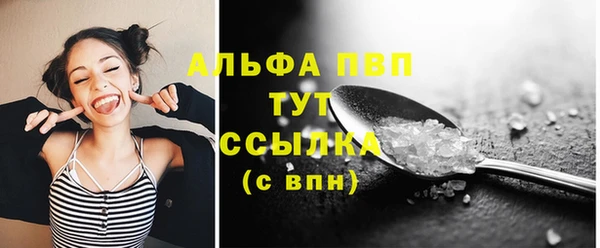 спиды Бородино