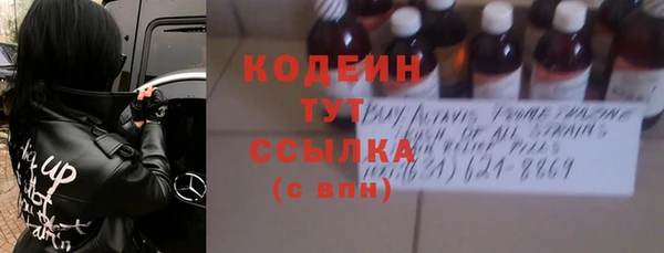 спиды Бородино