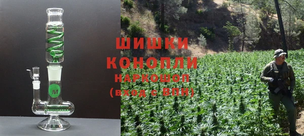 спиды Бородино