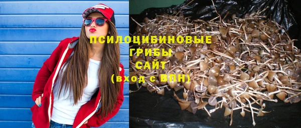 спиды Бородино
