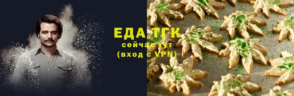 спиды Бородино