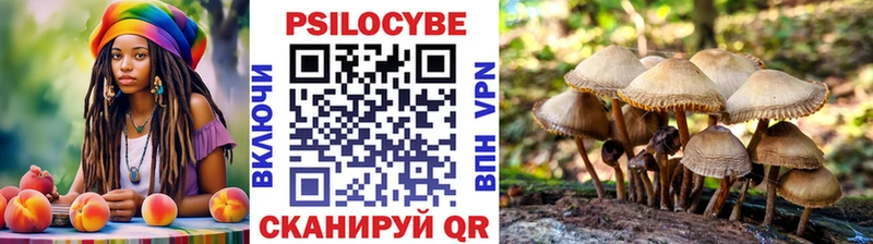 купить наркоту  Евпатория  Псилоцибиновые грибы прущие грибы 
